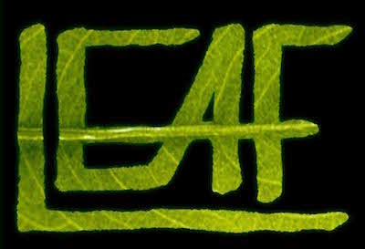 Leaf